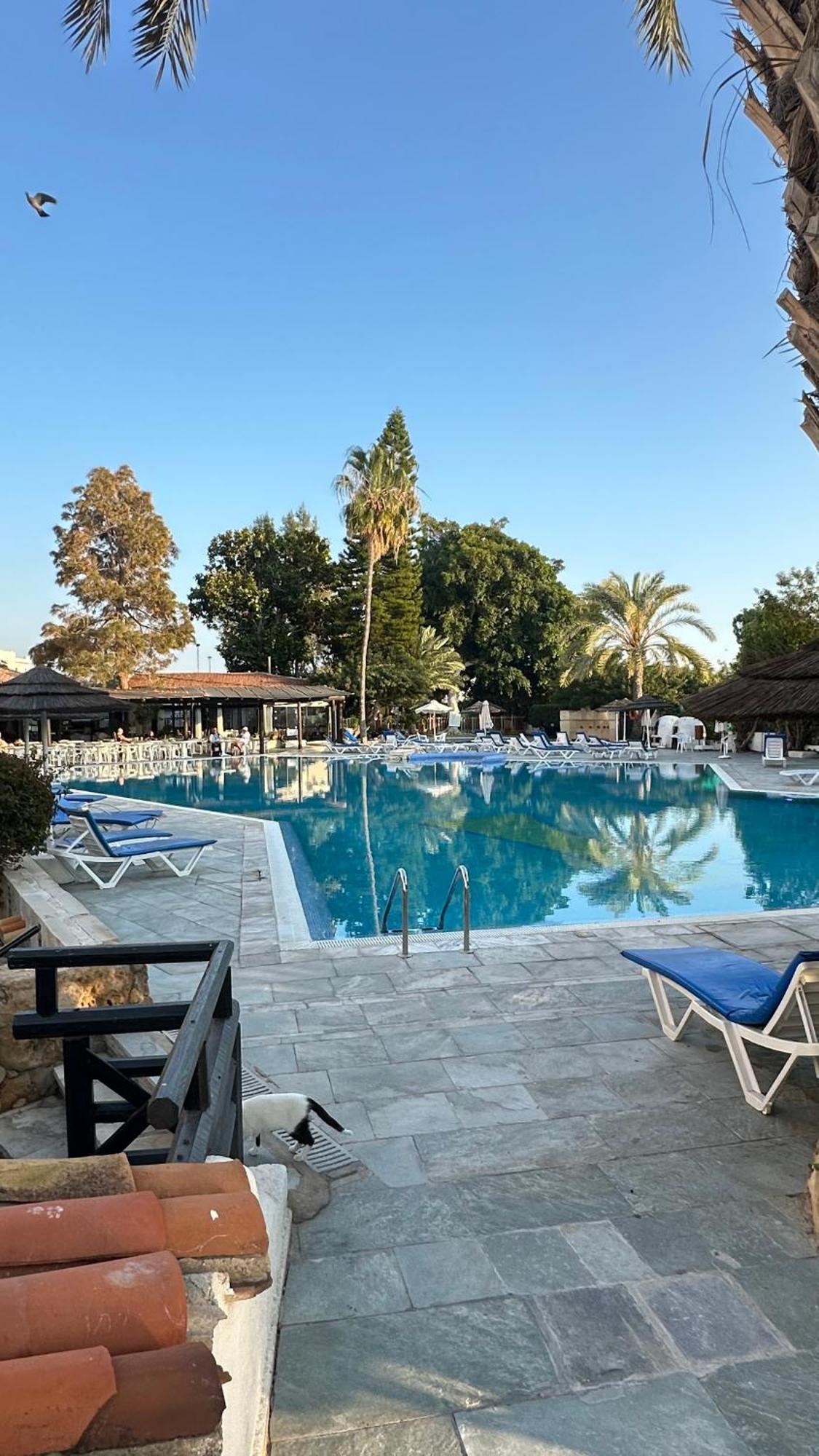 Paphos Gardens Studio Suite Eksteriør bilde