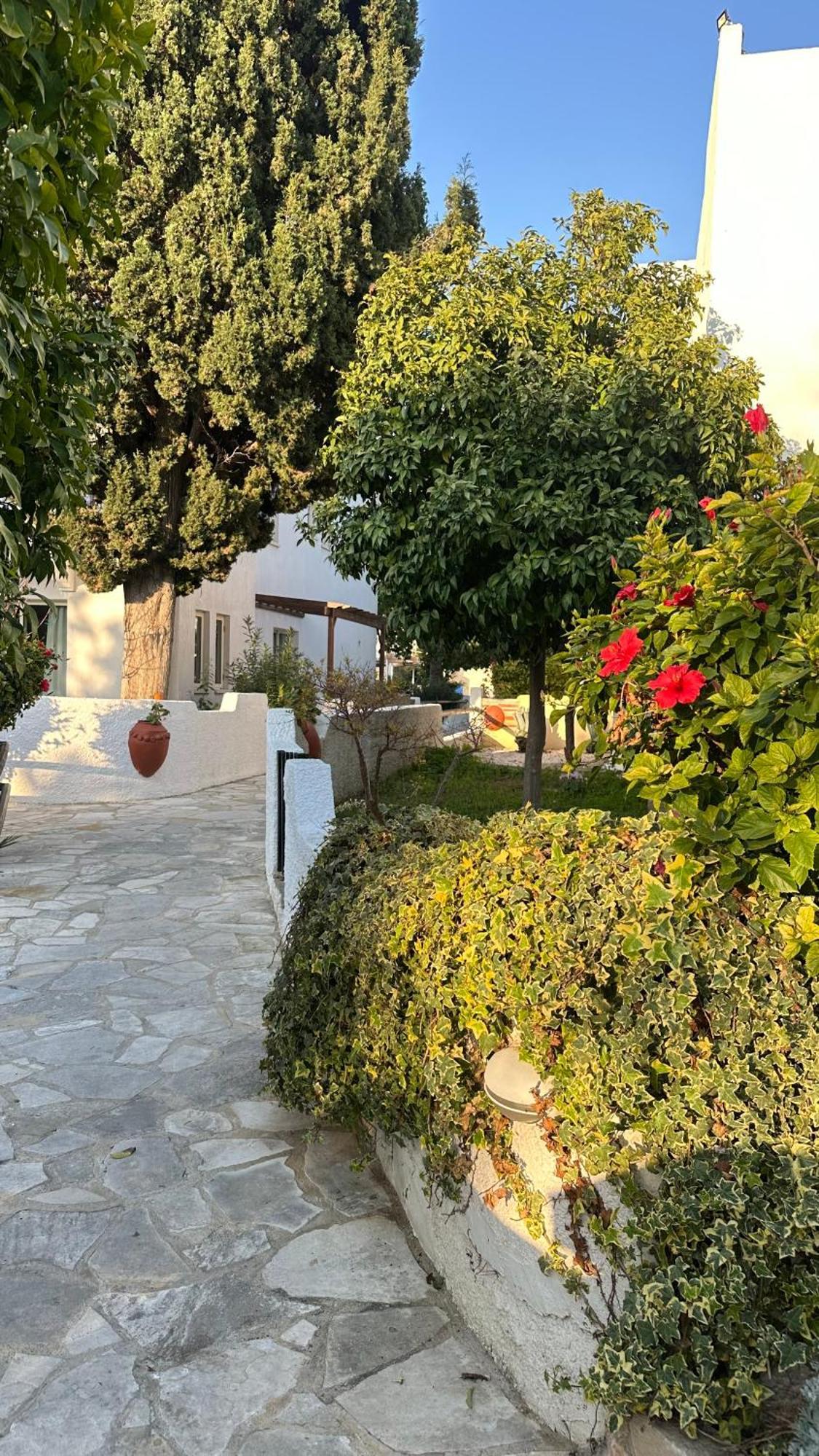 Paphos Gardens Studio Suite Eksteriør bilde