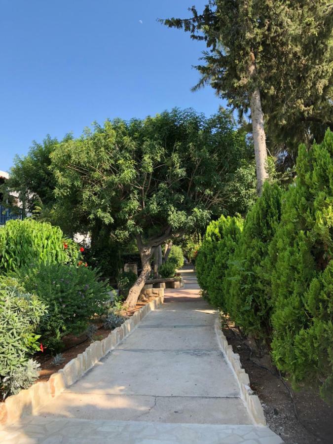 Paphos Gardens Studio Suite Eksteriør bilde